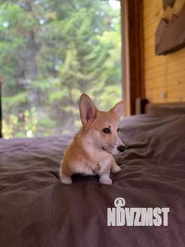 Дом 14м², 1-этажный, посуточно,