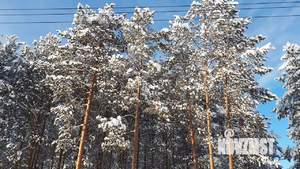 Дом 100м², 2-этажный, посуточно,