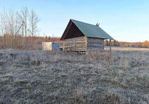 Дом 25м², 1-этажный, участок 12 сот.