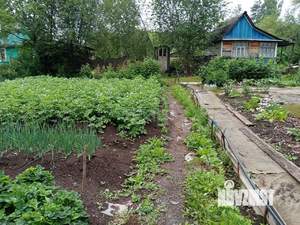 Дача 50м&sup2;, 1-этажный, участок 5 сот.  