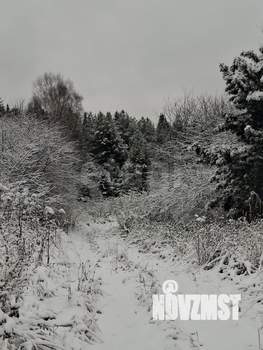 Дом 36м&sup2;, 1-этажный, участок 12 сот.  